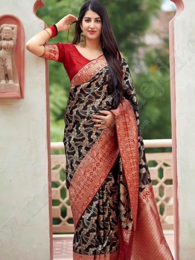 Black Patola Saree