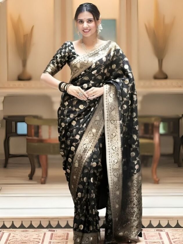 Classic Black Banarasi Saree Design