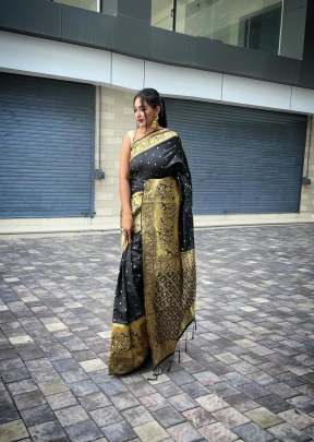 Radha Black kanjivaram saree