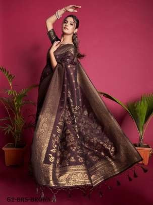 Beautiful Brown Pallu Banarasi Raw Silk Saree With Tassels