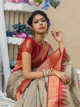 Beautiful Chiku Pure Tussar Silk Saree