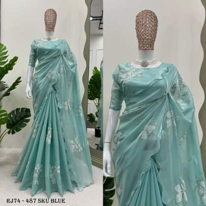 Beautiful Sky Blue Jimmy chu Saree