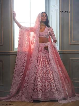 Blus Pink Exclusive Heavy Butterfly Net Bridal Lehenga Choli