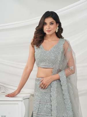 Grey Soft Net Embroidery Work Lehenga Choli