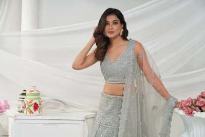 Grey Soft Net Embroidery Work Lehenga Choli