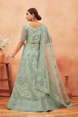 Light Green Embroidered Work Net Lehenga choli