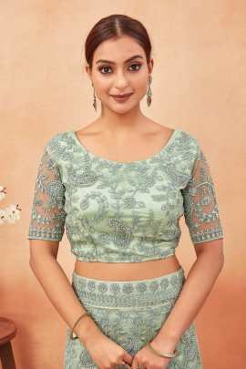 Light Green Embroidered Work Net Lehenga choli