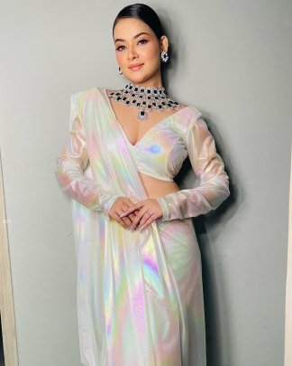 New Designer Shiny Saree With Blouse