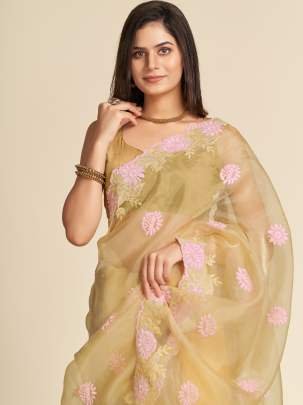 Resham Embroidery Work Gold Organza Saree