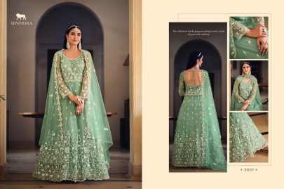 Senhora Presents Senhora Sarika Semi Stitch Net Gown Catalog