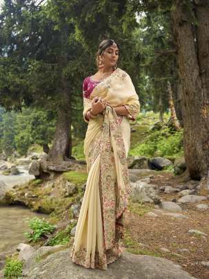 Wedding Gold Embroidery Work Jimmy choo Saree