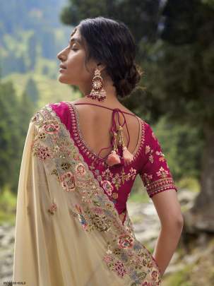 Wedding Gold Embroidery Work Jimmy choo Saree